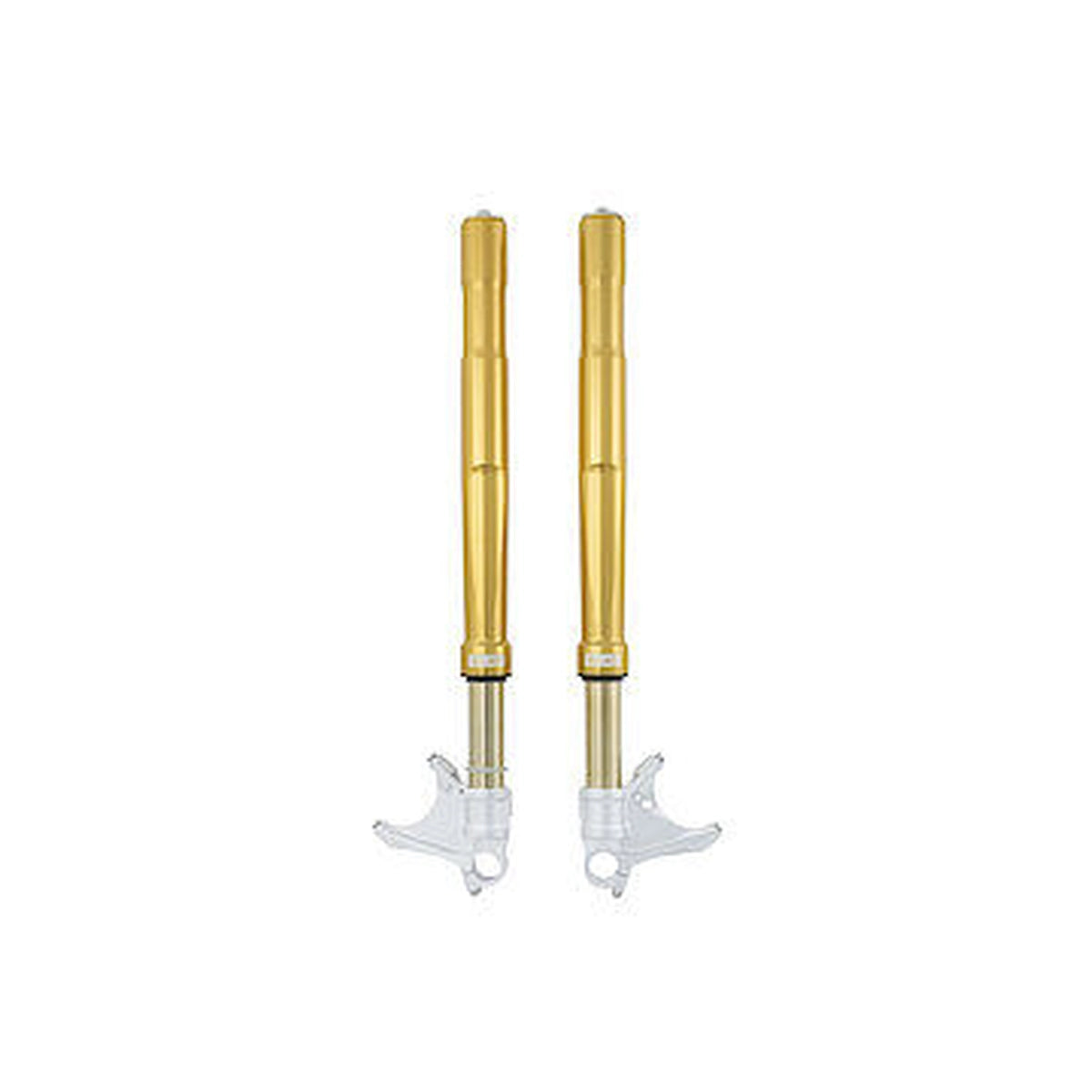 BMW S1000RR (19-24) / M1000RR (21-24) Öhlins forgaffel – FGRT 232