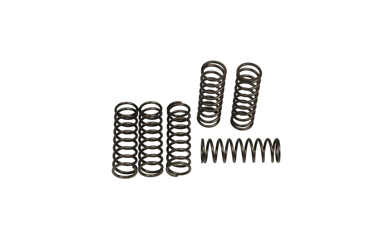 Koblingsfjedre til BMW F800GS 08-19 m.fl. – EBC CSK240